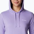 Columbia Trek Graphic Hooded Purple Γυναικείο φούτερ Trekking 1959881 3