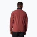 Ανδρικό φούτερ Columbia Sequoia Grove FZ Fleece spice / μαύρο 3