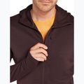 Ανδρικό Icebreaker Merino 260 Quantum IV Zip Hoodie γλυκόπικρο 7