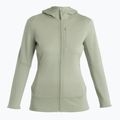 Icebreaker γυναικείο μπουφάν για πεζοπορία Merino 260 Quantum IV Zip Hoodie lichen 7