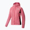 Γυναικείο φούτερ Trekking The North Face AO Midlayer Full Zip ροζ NF0A5IFI6Q31 9