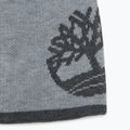 Ανδρικός χειμερινός σκούφος Timberland Reversible Logo Beanie light grey heather 2