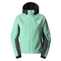 Γυναικείο softshell μπουφάν The North Face AO Softshell Hoodie πράσινο NF0A7ZE990Q1 9