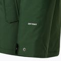 Ανδρικό χειμερινό μπουφάν The North Face Zaneck Jacket pine needle 9