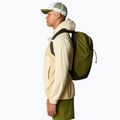 Σάκος πλάτης The North Face Rodey 27 l forest olive/new taupe 7