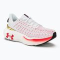 Under Armour Infinite Elite γυναικεία παπούτσια τρεξίματος λευκό/μαύρο/μεταλλικό χρυσό