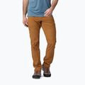 Ανδρικό παντελόνι πεζοπορίας Patagonia Terravia Alpine Pants trbn