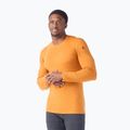 Ανδρικό Smartwool Merino 250 Baselayer Crew Boxed θερμικό μακρυμάνικο μανίκι marmalade heather