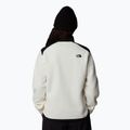 Γυναικείο φούτερ The North Face Alpine Polartec 200 FZ white dune/black 3