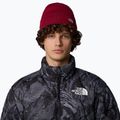 Ανδρικό σκουφάκι πεζοπορίας The North Face Norm Beanie beetroot 3