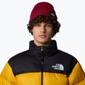 Χειμωνιάτικο σκουφάκι The North Face Dock Worker Recycled beetroot 3