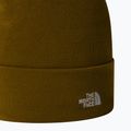 Ανδρικό σκουφάκι πεζοπορίας The North Face Norm Beanie moss green 2