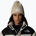 Ανδρικό χειμωνιάτικο σκουφάκι The North Face Cozy Chunky Cabin gardenia white/gravel 3