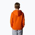 Παιδικό φούτερ The North Face Drew Peak P/O Hoodie orange 3