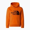 Παιδικό φούτερ The North Face Drew Peak P/O Hoodie orange 4