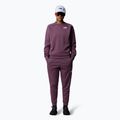 Γυναικείο φούτερ The North Face Mountain Athletics Fleece Crew midnight mauve 2