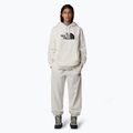 Γυναικείο φούτερ The North Face Drew Peak Pullover Hoodie white dune 2