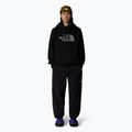 Ανδρικό φούτερ The North Face Drew Peak Pullover Hoodie black 2