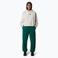 Γυναικείο φούτερ The North Face Essential Crop white dune 2