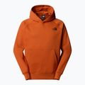 Ανδρικό φούτερ The North Face Raglan Box Nse Hoodie earthen copper