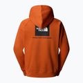 Ανδρικό φούτερ The North Face Raglan Box Nse Hoodie earthen copper 2