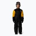 Παιδικό παντελόνι σκι The North Face Kid Freedom Insulated Bib μαύρο 3