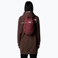 Σακίδιο πεζοπορίας The North Face Borealis Mini Backpack 10 l canyon dust dark heathe 6