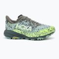 Ανδρικά παπούτσια τρεξίματος Hoka Speedgoat 6 GTX slate/aloe vera 2