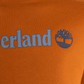 Ανδρικό φούτερ Timberland Linear Logo Crew Neck umber 3