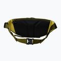 Τσαντάκι μέσης The North Face Terra Lumbar 6 l forest olive/yellow silt 2