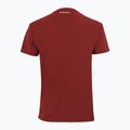 Παιδική μπλούζα τένις Tecnifibre Team Tech Tee cardinal 2