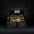 Σορτς προπόνησης Venum Attack Muay Thai black/gold 6