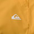 Ανδρικό παντελόνι snowboard Quiksilver Estate mineral yellow 4