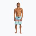 Ανδρικό σορτς κολύμβησης Quiksilver Everyday Stripe 19 limpet shell 4