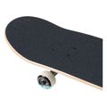 Element Day Dream Quad κλασικό skateboard μαύρο F4CPA3 6