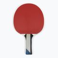 Ρακέτα επιτραπέζιας αντισφαίρισης Butterfly Timo Boll Platin