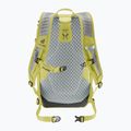 Deuter Speed Lite 21 l σακίδιο πεζοπορίας φλαμούρι/σποράκι 3