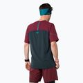 Ανδρική μπλούζα για τρέξιμο DYNAFIT Alpine Pro blueberry/burgundy 3