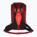 Γυναικείο σακίδιο πεζοπορίας Salewa Alp Trainer 20 l syrah 2