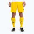 Ανδρικό ποδοσφαιρικό κολάν PUMA Team Liga Core cyber yellow/puma black 2