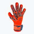 Γάντια τερματοφύλακα Reusch Attrakt Silver NC hyper orng/elec blue/blck 2