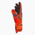 Γάντια τερματοφύλακα Reusch Attrakt Silver NC hyper orng/elec blue/blck 4