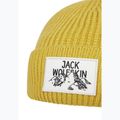 Χειμωνιάτικο σκουφάκι Jack Wolfskin Badge mustard 2