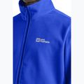 Ανδρικό Jack Wolfskin Taunus Fz fleece φούτερ vibrant blue 5