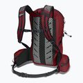 Jack Wolfskin Cyrox Shape 20 l σακίδιο πεζοπορίας βαθύ ρουμπινί 2