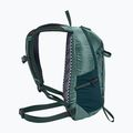 Σακίδιο πεζοπορίας Jack Wolfskin Prelight Shape 15 l jade green 3