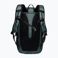 Σακίδιο πεζοπορίας Jack Wolfskin Wandermood Pack 20 l slate green 2