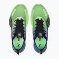 Ανδρικά παπούτσια για τρέξιμο PUMA Fast-R NITRO Elite Carbon royal sapphire/fizzy lime 15