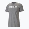 Ανδρικό T-shirt προπόνησης PUMA Performance Graphic γκρι 523236 03