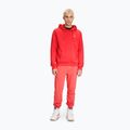 Ανδρικό φούτερ FILA Bengel Regular Hoody cayenne 2